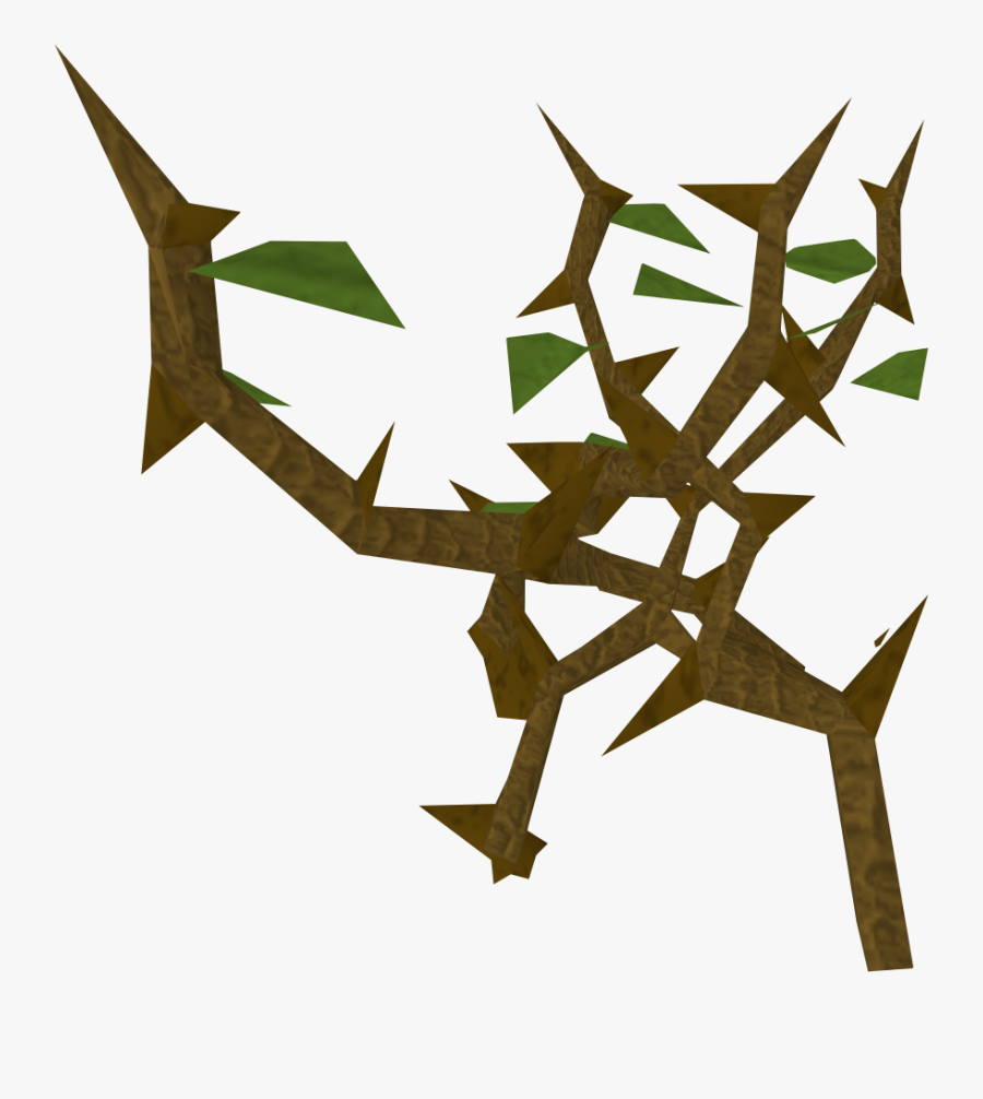 Jungle Vines Png - Portable Network Graphics, Transparent Clipart