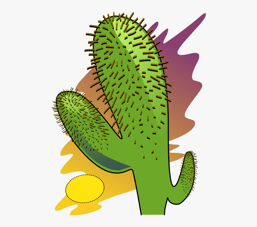 Cactus, Desert, Dry, Arizona, Cacti, Western, Southwest - Desert Plants Clip Art, Transparent Clipart