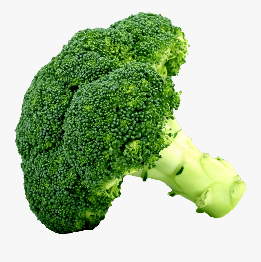 Food,superfood,vegetable - Clip Art Broccoli, Transparent Clipart