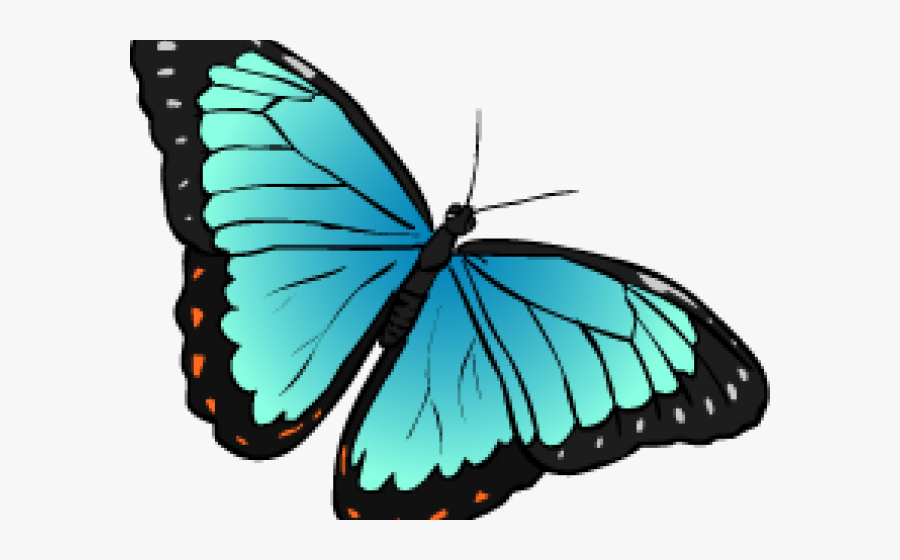 Jungle Clipart Insect - Blue Morpho Butterfly Clipart, Transparent Clipart