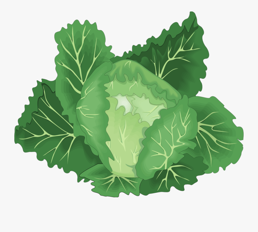 Vegetables Free Vector - Green Vegetable Vector Png, Transparent Clipart
