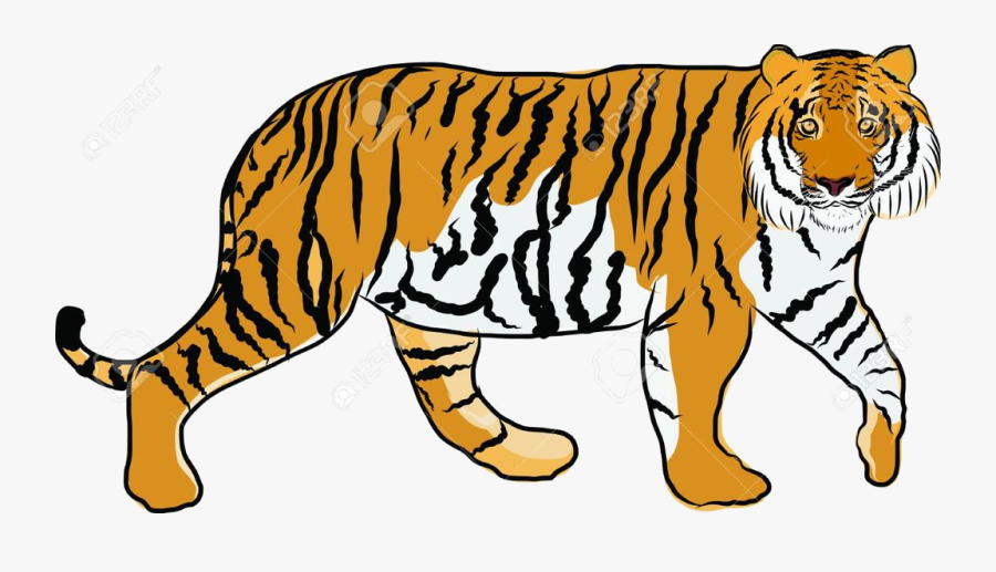 Tiger Cartoon Clipart Niml Jungle Free Cliparts Transparent - Drawn Tiger, Transparent Clipart