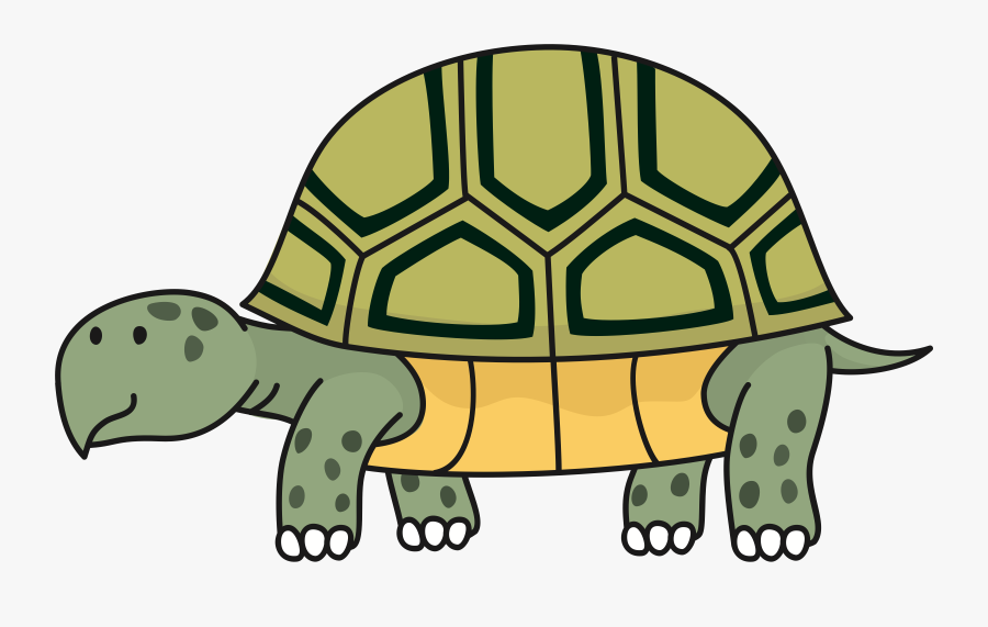 Tortoise Images Clip Art, Transparent Clipart