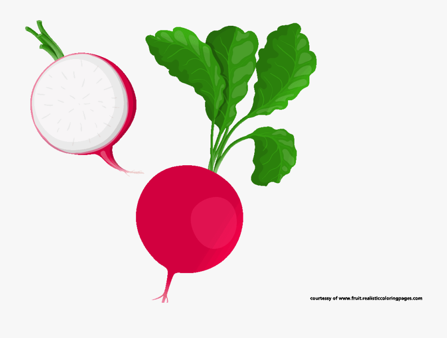 Radish Clipart - Clipart Radish, Transparent Clipart