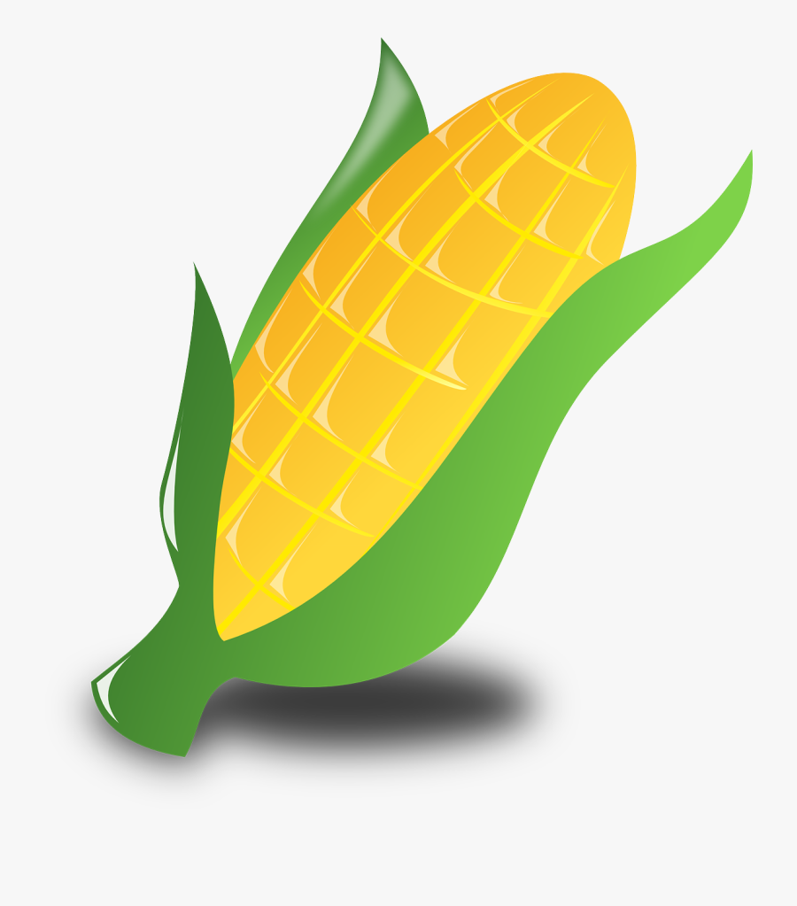 Corn, Crop, Harvest, Vegetables, Maize, Food, Kwanzaa - Transparent Corn Clipart, Transparent Clipart