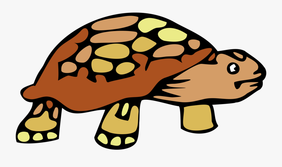 Turtle,reptile,tortoise - Tortoise Clipart, Transparent Clipart