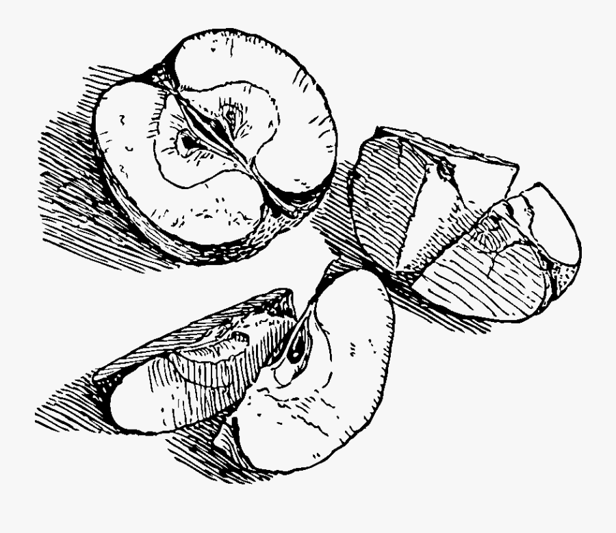 Apple Black And White Apple Black And White School - Apple Clipart Black White Fruit, Transparent Clipart