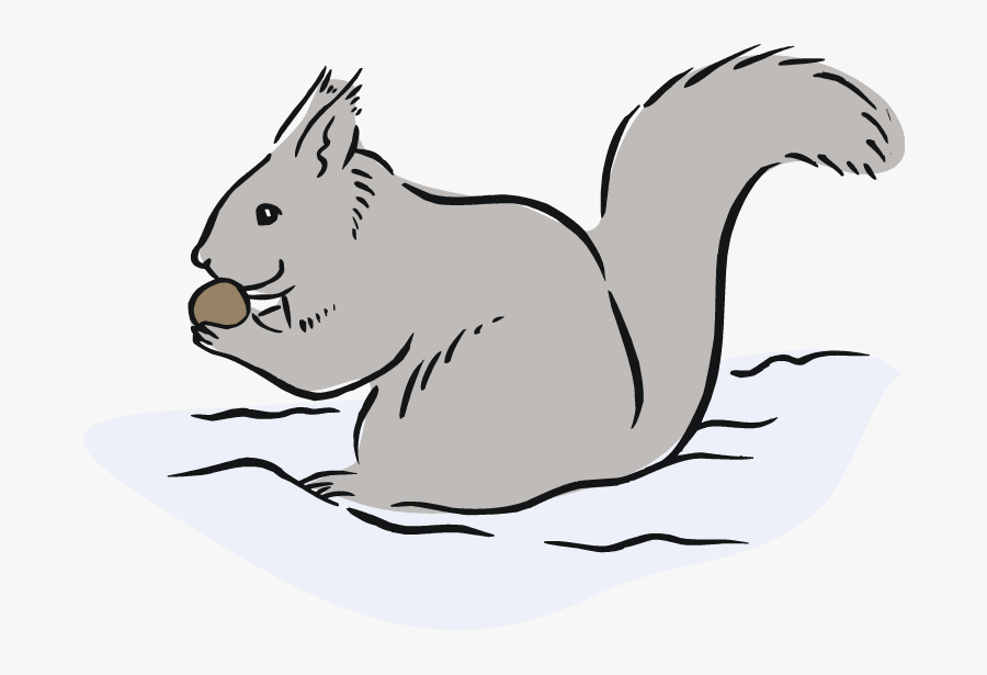Squirrel Clipart Desert - Cartoon Eastern Gray Squirrel, Transparent Clipart