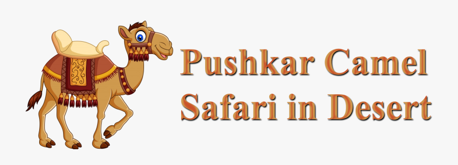 Pushkar Camel & Safari In Desert - Cartoon, Transparent Clipart