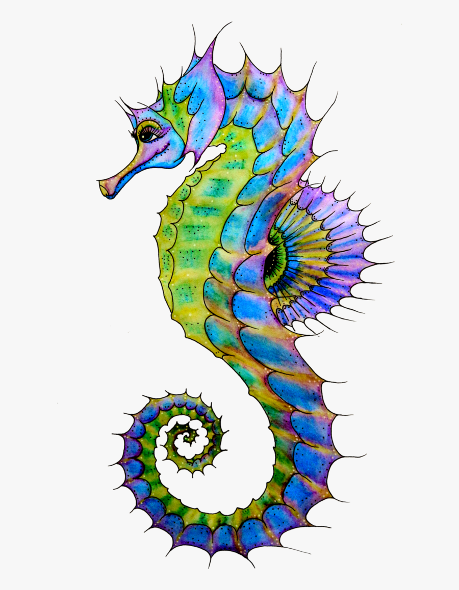 Seahorse Png, Transparent Clipart