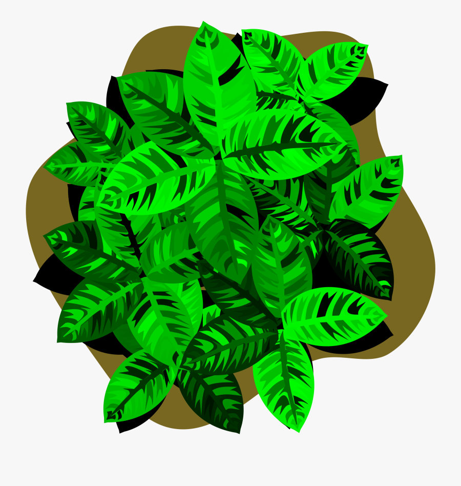 Four-leaf Clover Luck Lawn - Illustration, Transparent Clipart