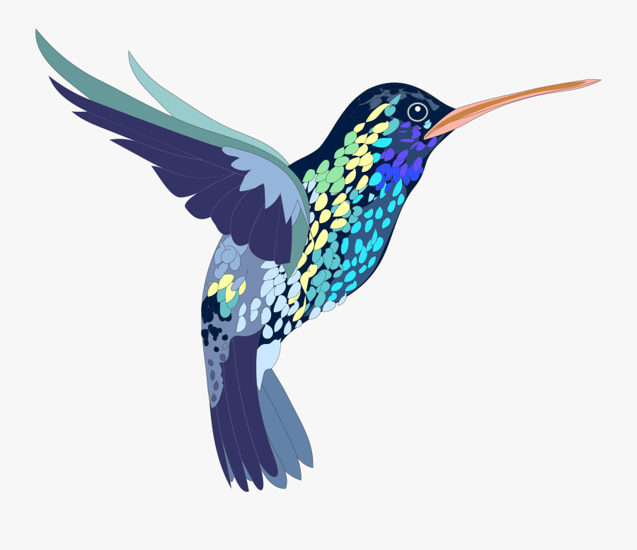 Png, Bird, Hummingbird, Colorful, Illustration, Shapes - Clip Art Hummingbird Png, Transparent Clipart
