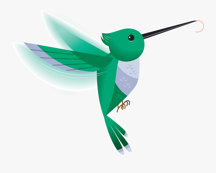 Clip Art Hummingbird - Cute Hummingbird Clipart, Transparent Clipart