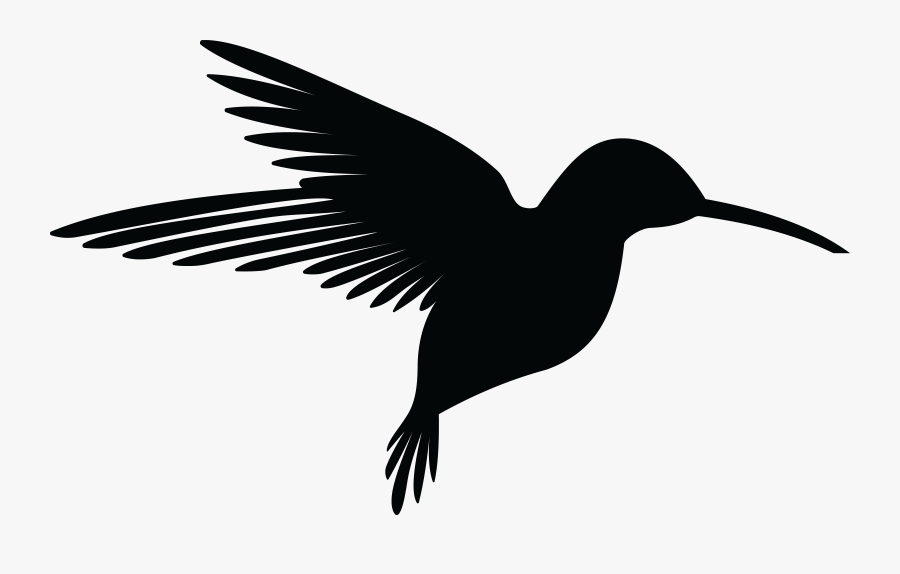 Hummingbird Free Images On Pixabay Clip Art - Hummingbird Silhouette, Transparent Clipart