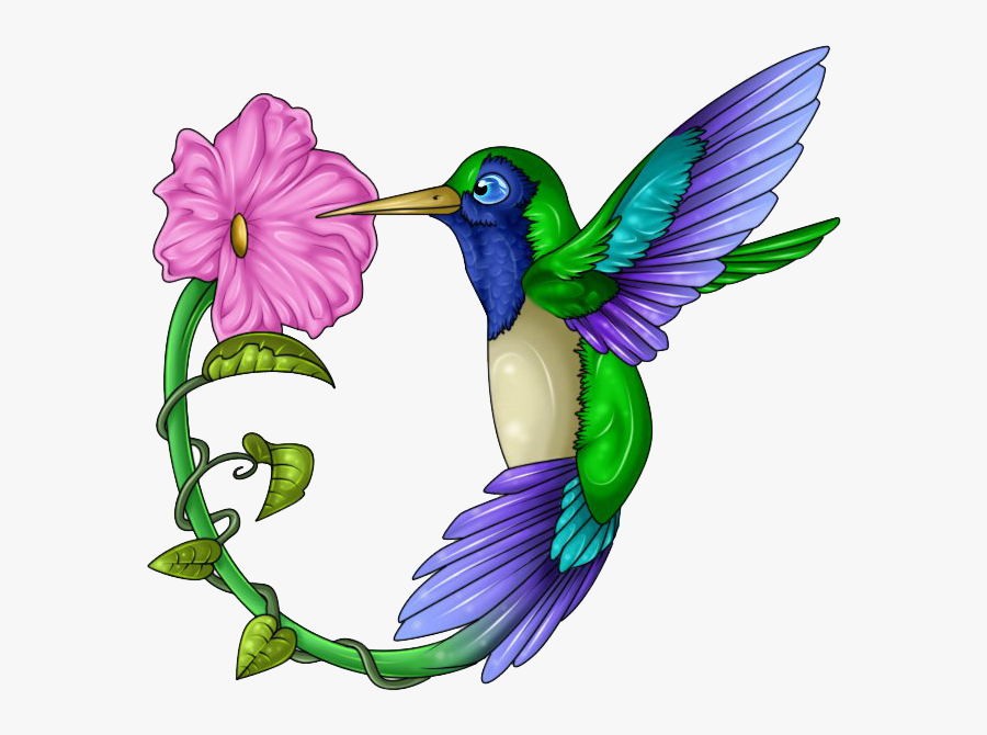 Hummingbird Clip Art 19 Hummingbird Clip Art Free Stock - Hummingbird And Flower Clipart, Transparent Clipart