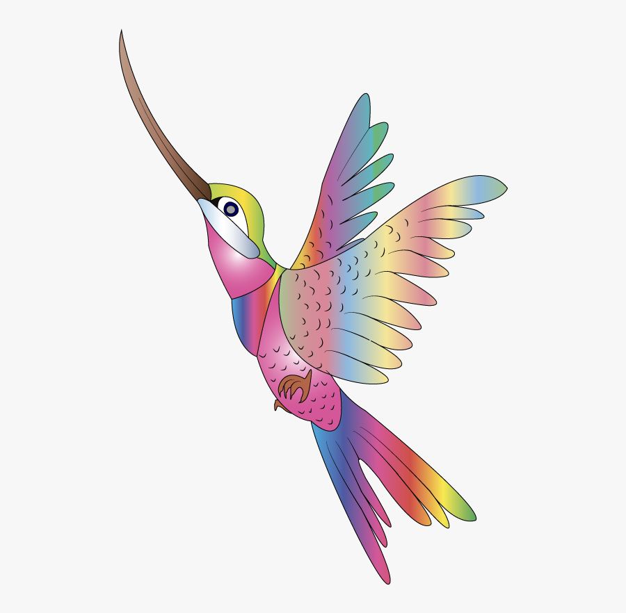 Hummingbird Clip Art Openclipart Vector Graphics Image - Rainbow Colorful Bird Clipart, Transparent Clipart