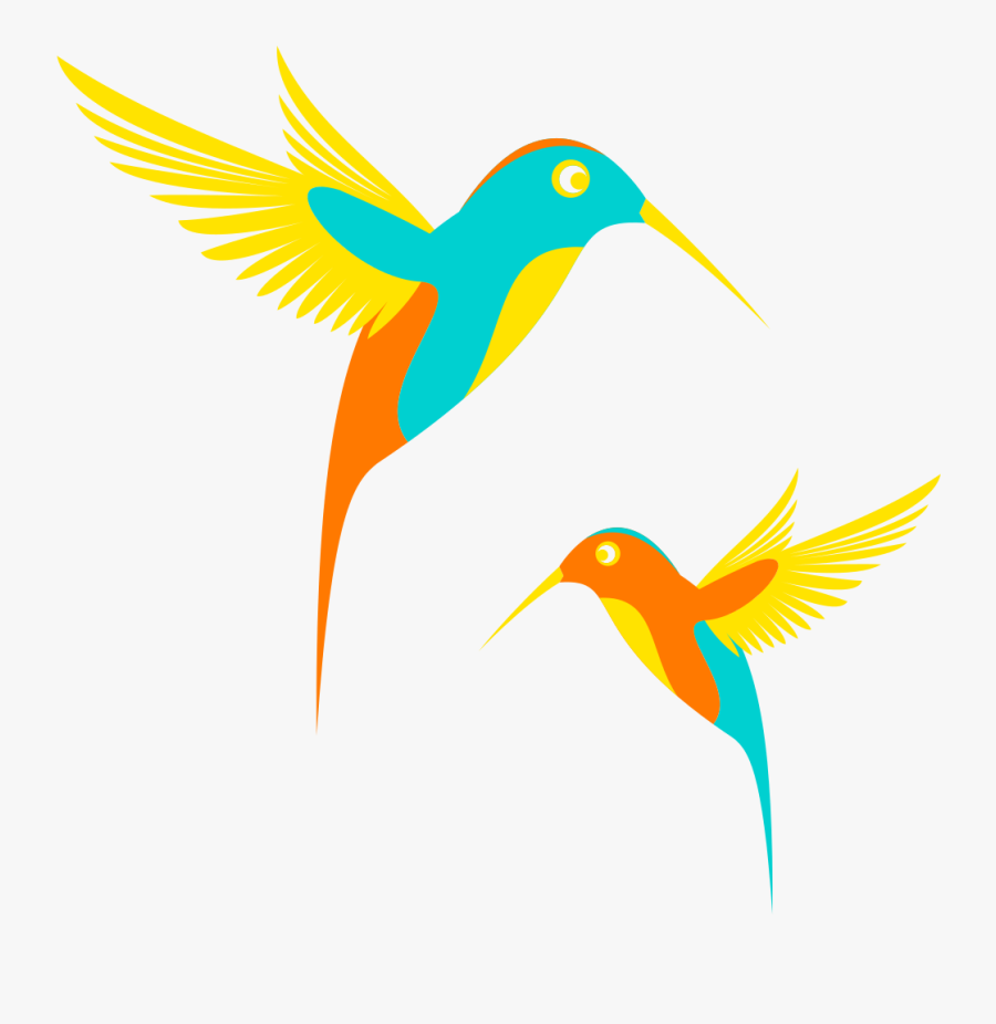 Collection Of Free Drawing Flower Hummingbird Download - Colibri Clipart, Transparent Clipart