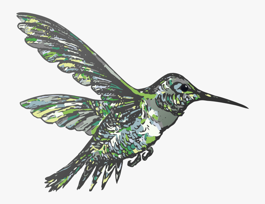 Transparent Ruby Clipart - Ruby-throated Hummingbird, Transparent Clipart