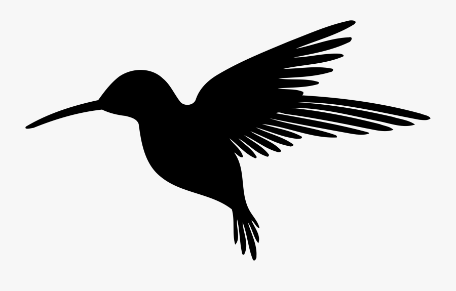 Hummingbird Silhouette - Hummingbird Silhouette Png, Transparent Clipart