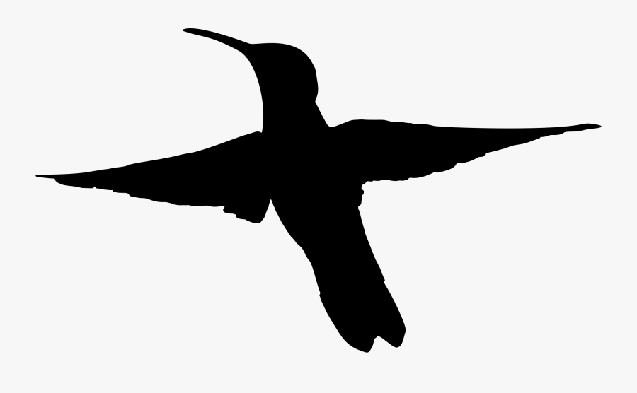 Transparent Bird Silhouette Clipart - Hummingbird Black Clipart Flying, Transparent Clipart