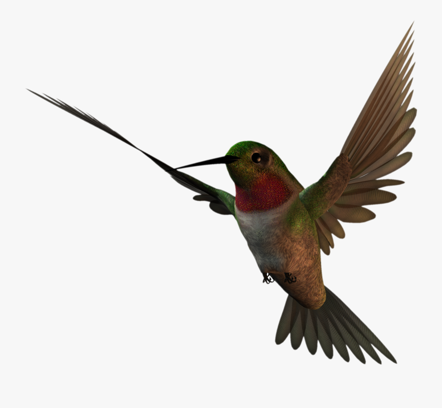 Free High Resolution Clipart - Eagle High Resolution Png, Transparent Clipart