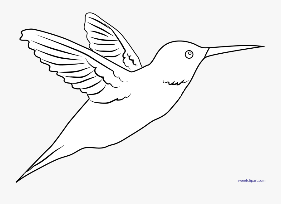 Hummingbird Clipart Clip Art - Drawing, Transparent Clipart