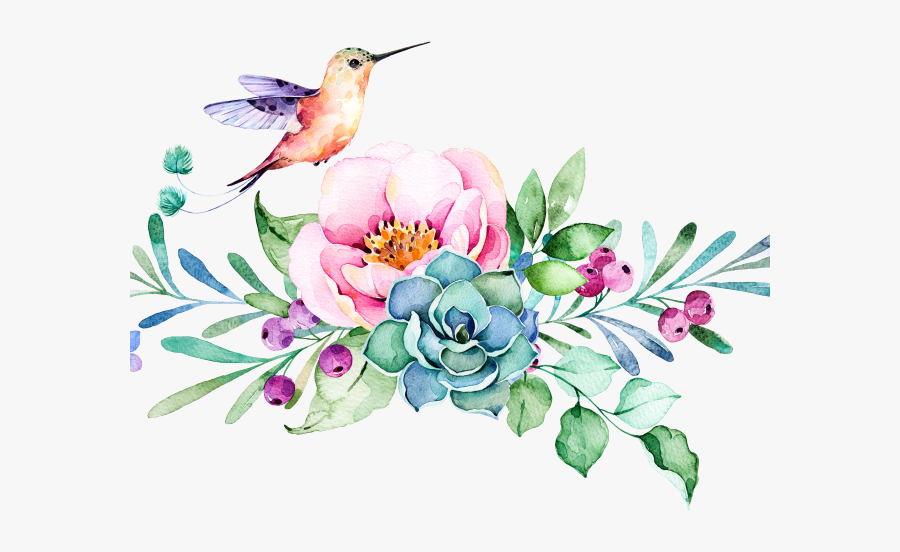 Hummingbird Clipart Watercolor - Transparent Hummingbird Watercolor, Transparent Clipart