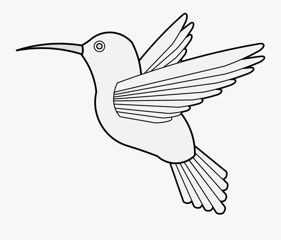 Hummingbird Clipart Traceable - Hummingbird Traceable, Transparent Clipart