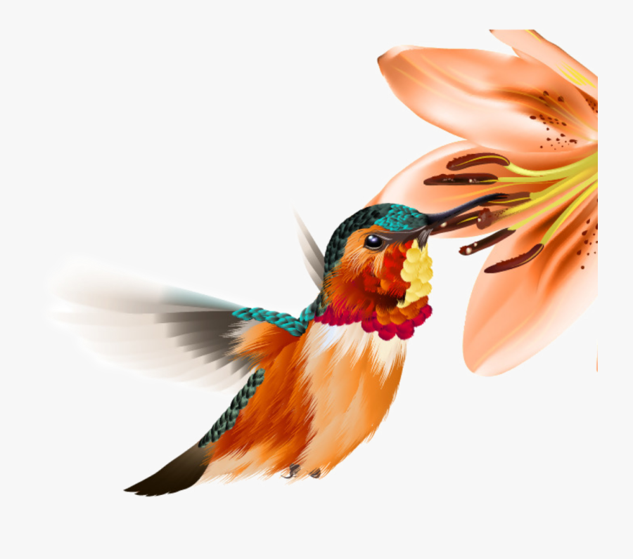 Hummingbird Clipart Watercolor, Transparent Clipart