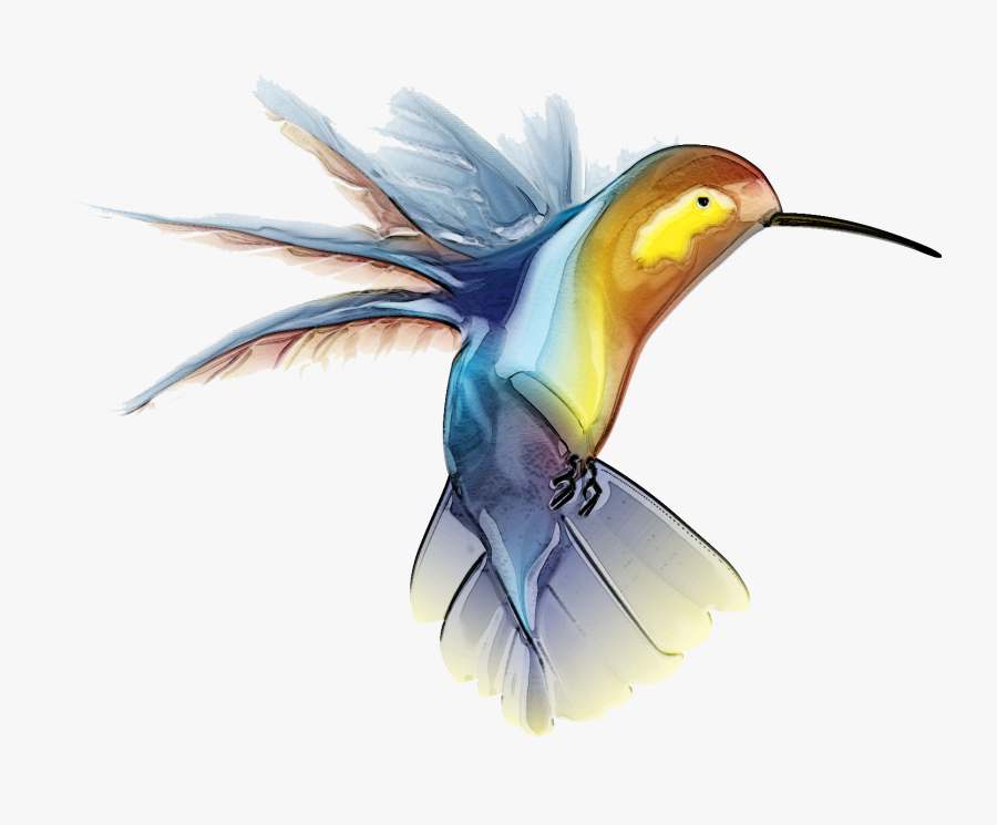 Hummingbird - Free Hummingbird Clip Art, Transparent Clipart