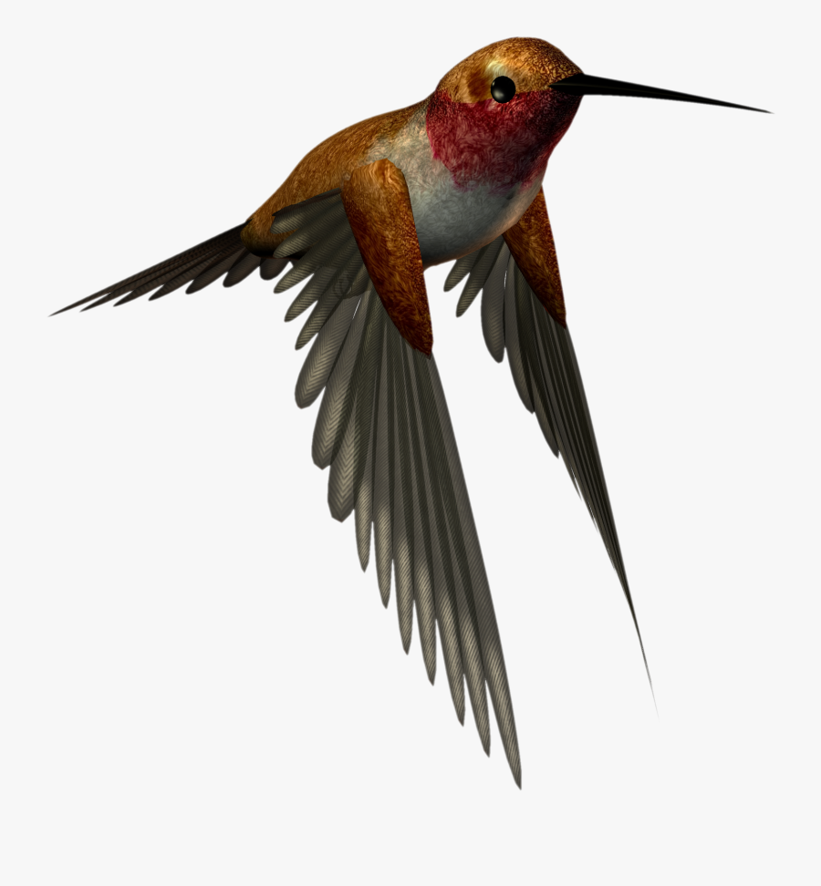 Hi Res Clip Art Free - High Resolution Png Images Free Download, Transparent Clipart