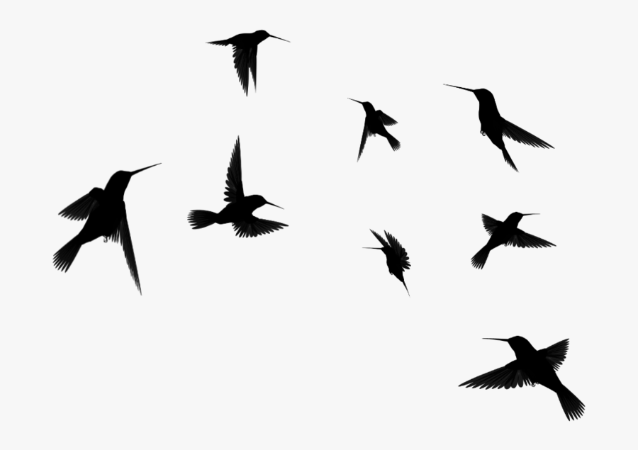 Hummingbird Clipart Colourful Bird 3 Clip Art Flying - Transparent Flying Bird Silhouettes, Transparent Clipart