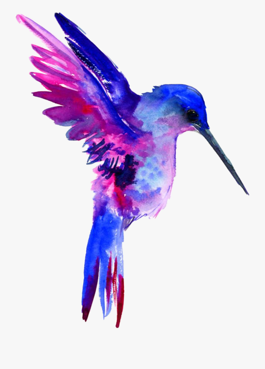 Watercolor Hummingbird Clipart Free - Hummingbird Watercolor Png, Transparent Clipart