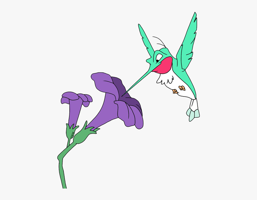 Hummingbird Flit, Transparent Clipart