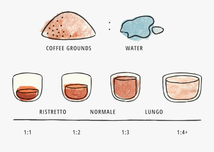 Borrowing Language From Italian Espresso Nomenclature,, Transparent Clipart