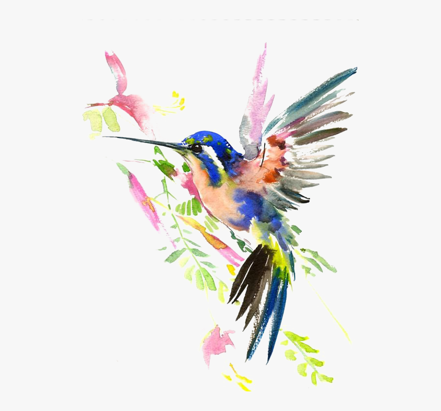 Watercolor Painting Drawing Hummingbird Download Hq - Hummingbird Watercolor, Transparent Clipart