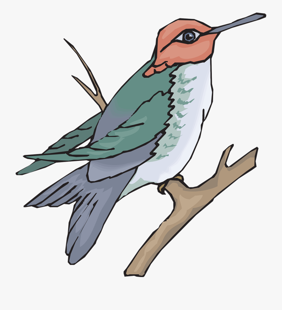 Hummingbird, Transparent Clipart