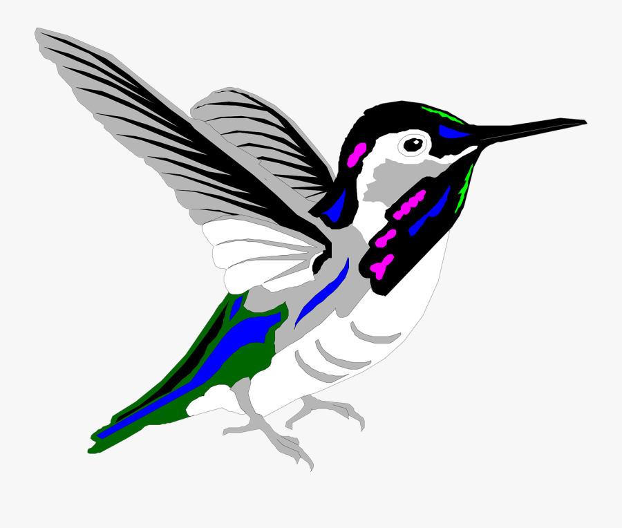 Free Stock Photos - Oiseau Stylé, Transparent Clipart