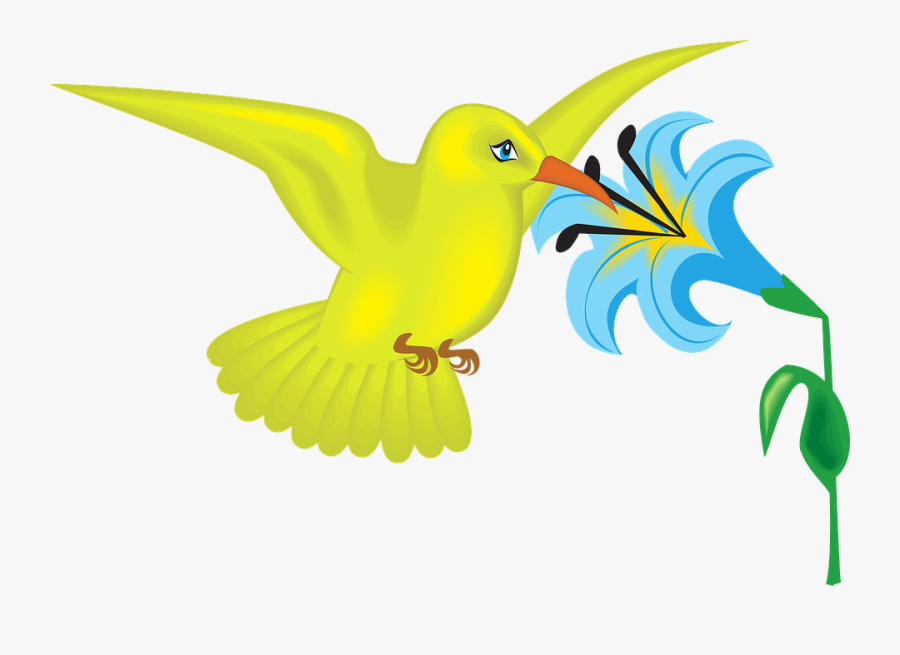Blue, Yellow, Flower, Bird, Plant, Wings, Leaves - Hummingbird On Flower Clipart, Transparent Clipart
