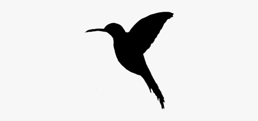 Hummingbird Tattoos Png Image Clipart - Hummingbird, Transparent Clipart
