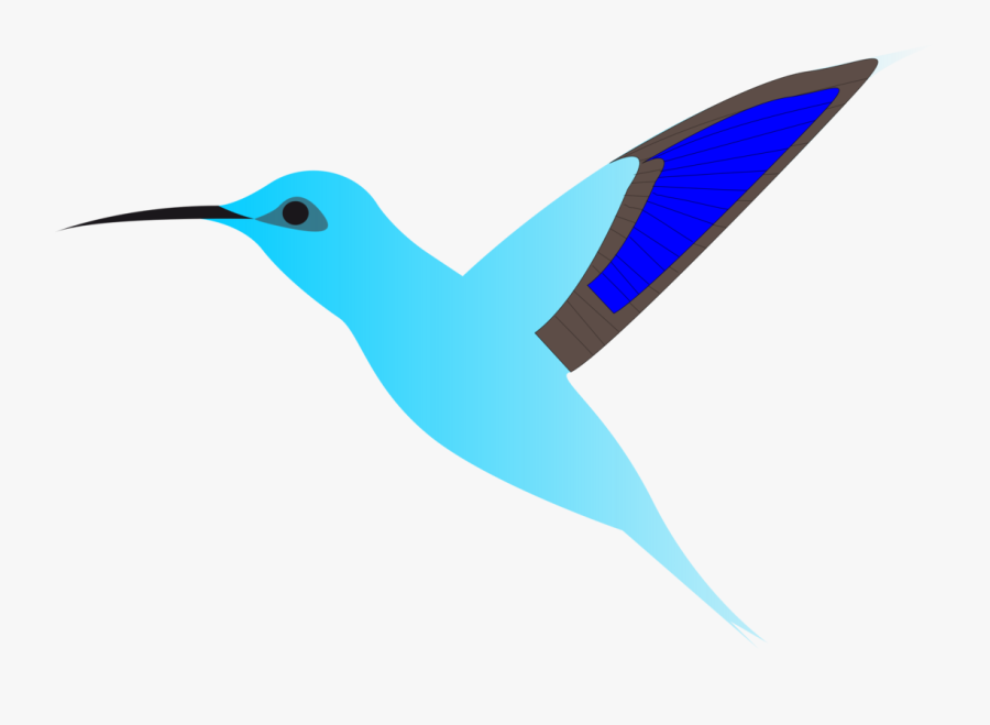 Pollinator,bird,beak - Clipart Hummingbird Wings, Transparent Clipart