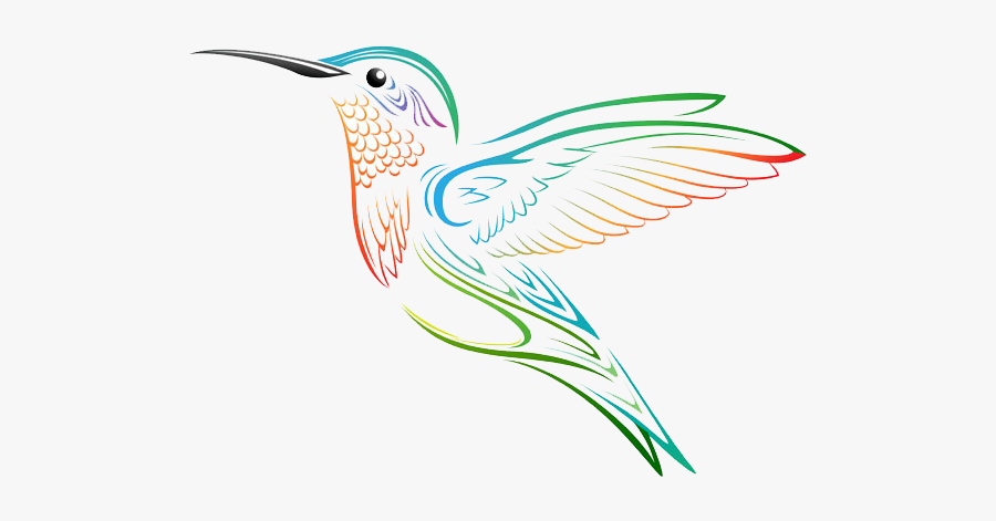 Clip Art Hummingbird Graphic - Hummingbird Tattoo Drawing, Transparent Clipart