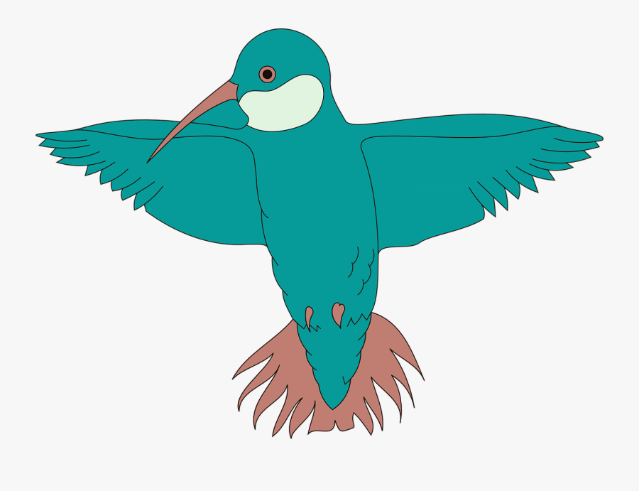 Hummingbird, Bird, Spread, Wings, Beak, Feathers - Bird With Wings Clipart, Transparent Clipart