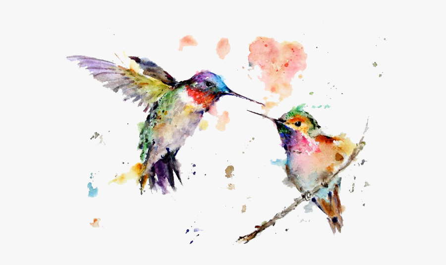 Watercolor Art Painting Drawing Hummingbird Free Transparent - Tecnica De Dibujo Con Acuarela, Transparent Clipart