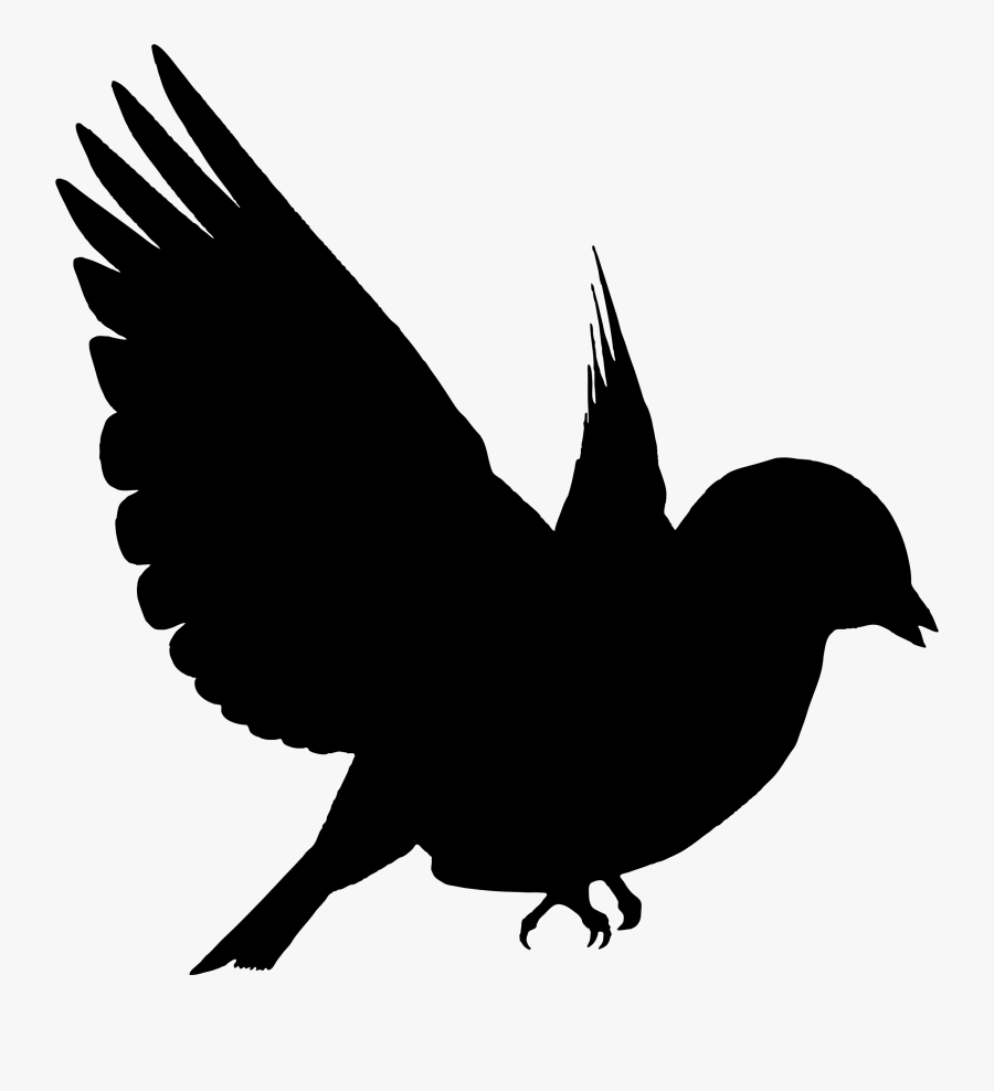 Hummingbird Silhouette American Crow Drawing - Flying Birds, Transparent Clipart
