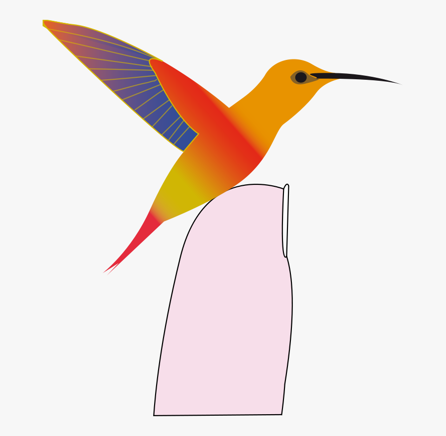 Hummingbird - Ruby-throated Hummingbird, Transparent Clipart