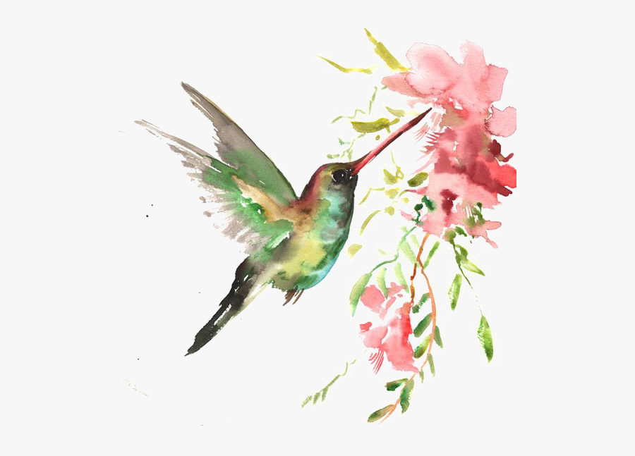 Watercolor Bird Download Hq Png Clipart - Watercolor Hummingbird Clipart, Transparent Clipart
