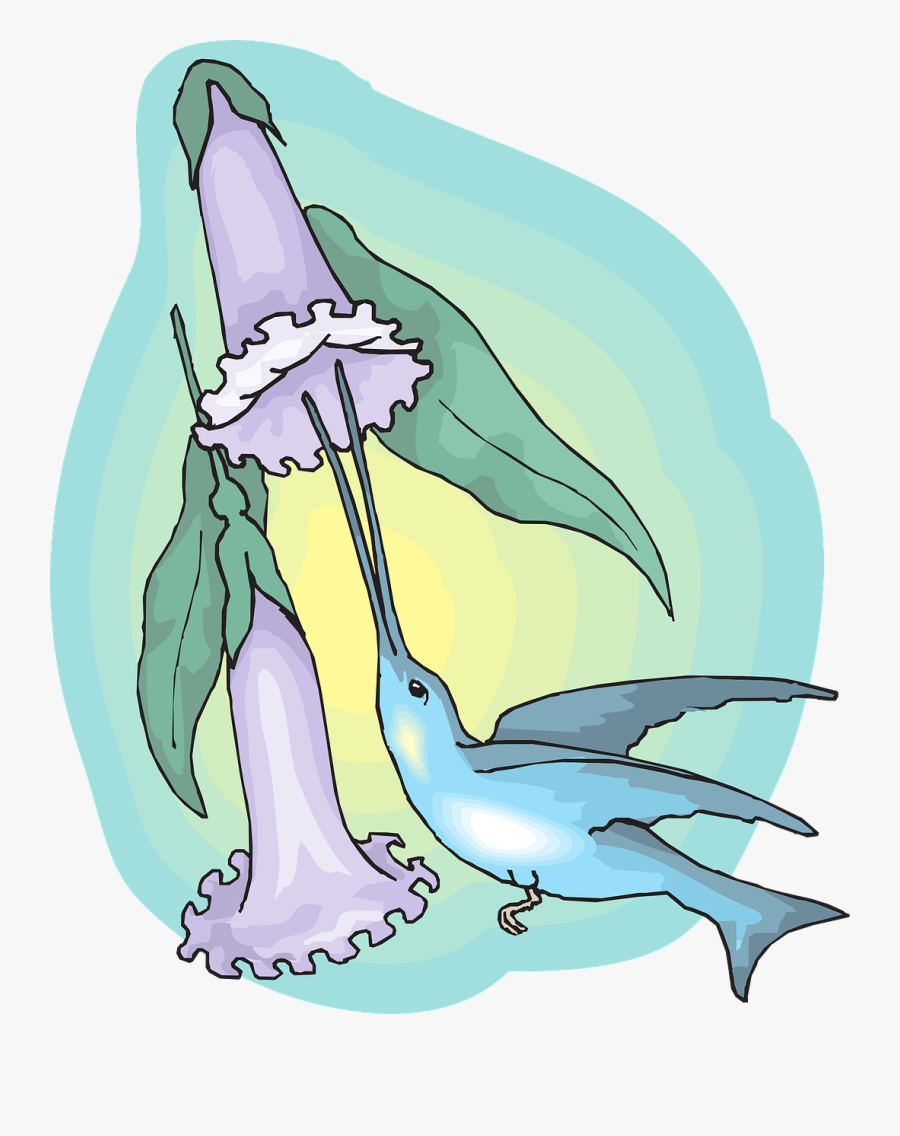 小 鸟 吸 花蜜, Transparent Clipart