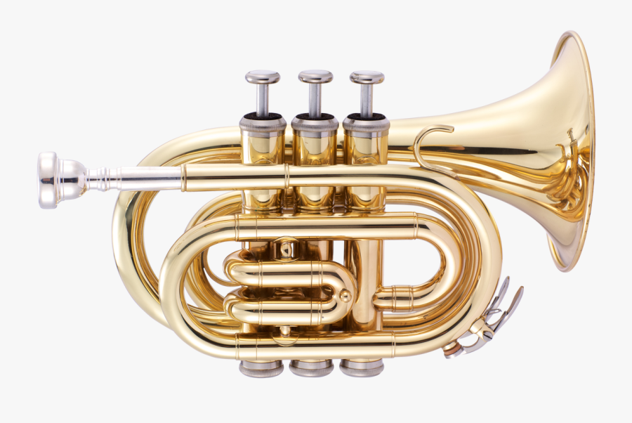 Transparent Trumpet Clipart Png - Pocket Trumpet, Transparent Clipart