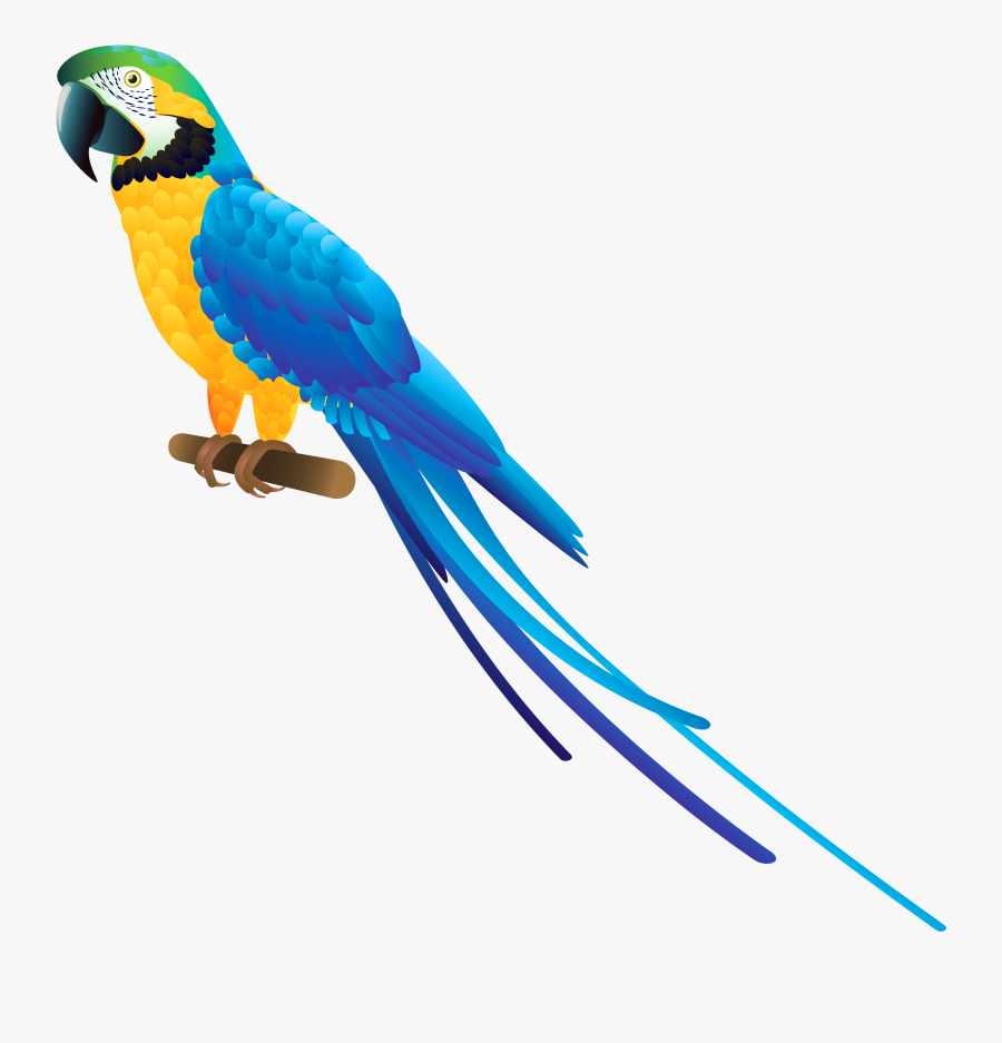 Blue Parrot Png Clipart - Transparent Background Parrot Clipart, Transparent Clipart